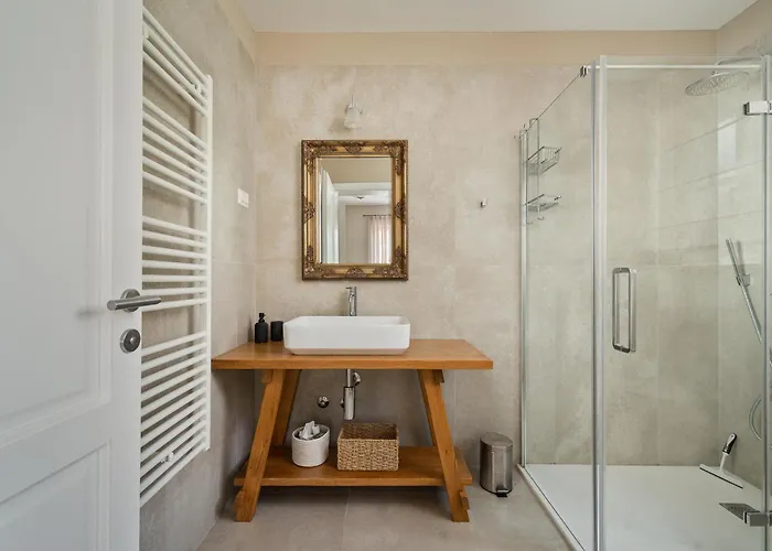 Vila Petra Vabriga *